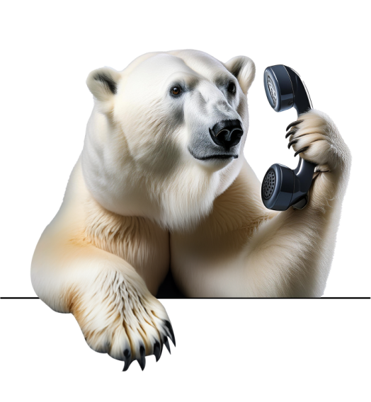 polar bear holding phone