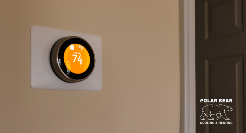 polar bear thermostat